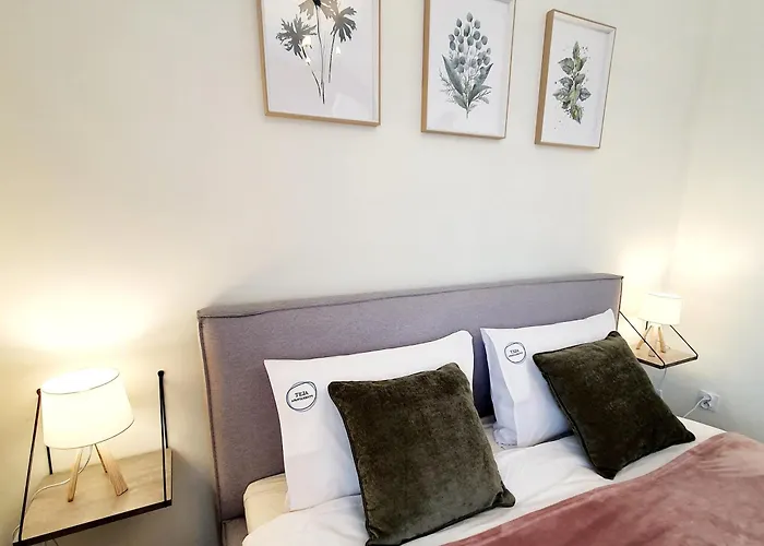 Wrzosowka Z Widokiem Na Gory Szklarska Poręba