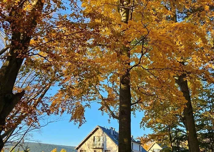 Wrzosowka Z Widokiem Na Gory